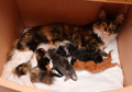 babys-03-2014-005.jpg