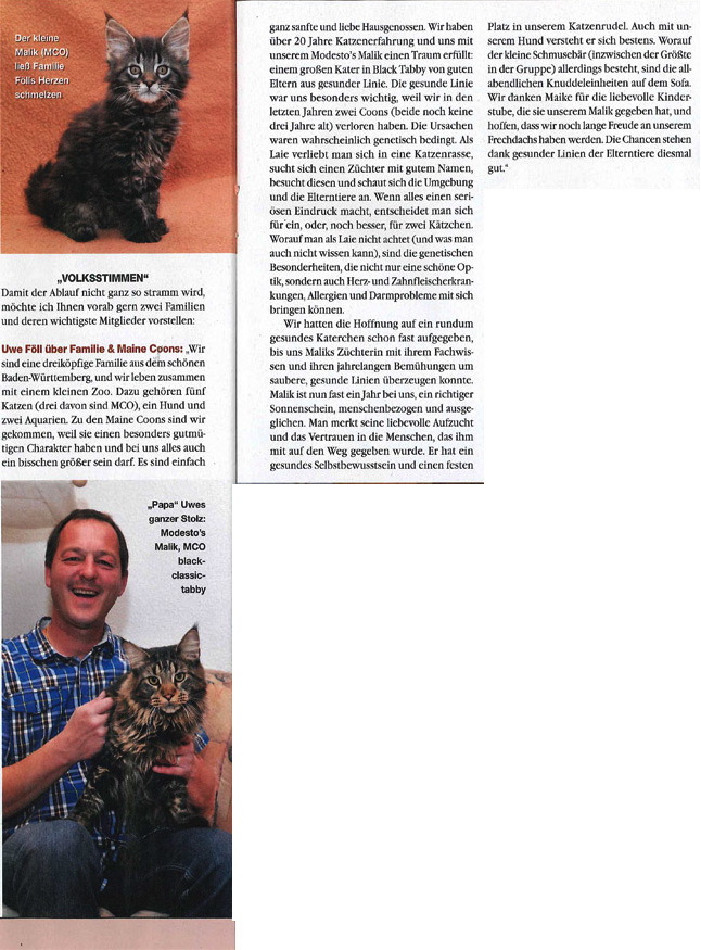 Katzen Extra 1