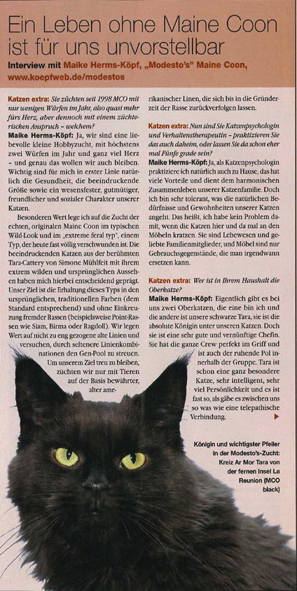 Katzen Extra 2