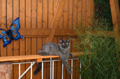 DSC_0017-1.jpg