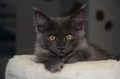 DSC_0037.jpg
