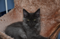 DSC_0086-1.jpg