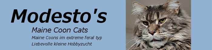 banner_neu.jpg