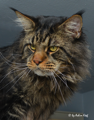 Heathcliffe 29