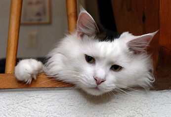 Ragnar