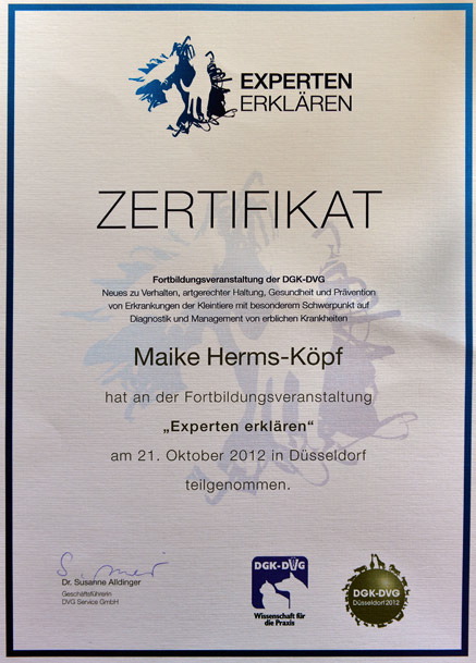 Zertifikat
